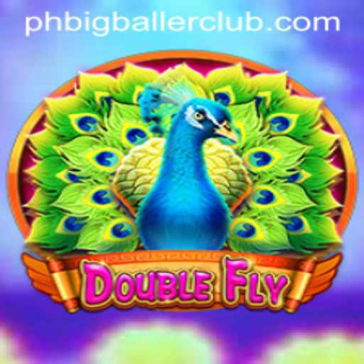 Exploring the Thrilling World of DoubleFly: The Latest Sensation from BigBallerClub
