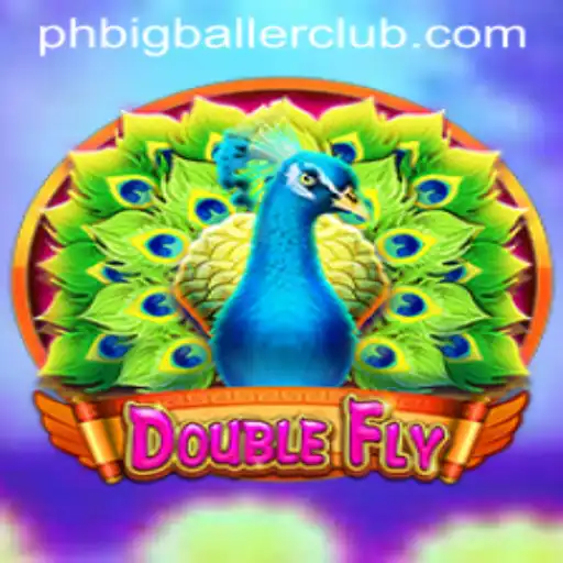 Exploring the Thrilling World of DoubleFly: The Latest Sensation from BigBallerClub